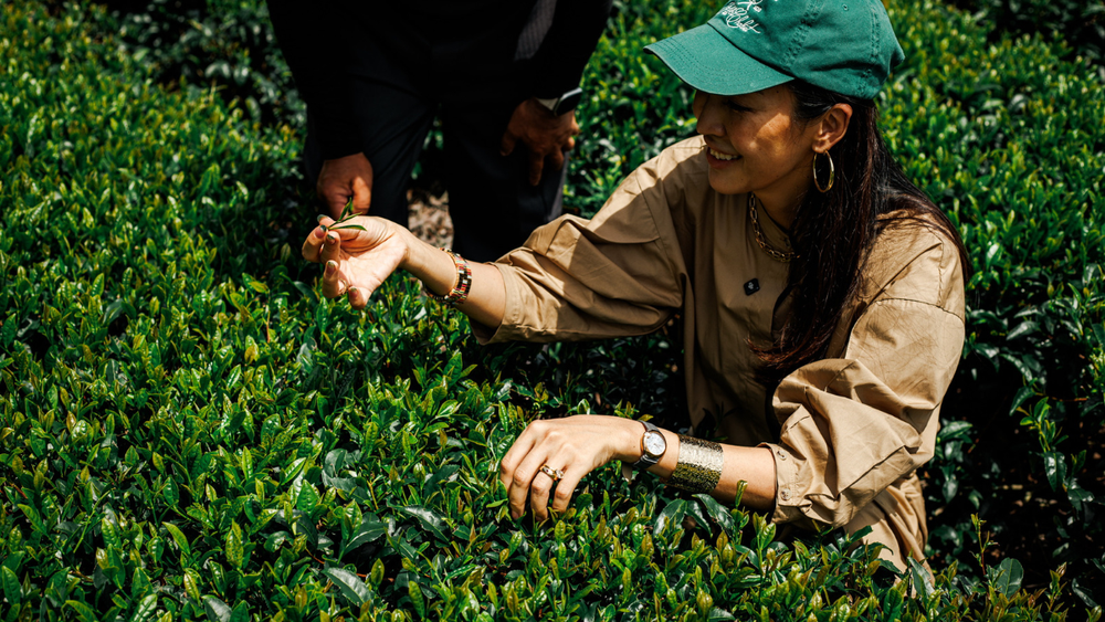 SAYURI サユリ | Artisanal Japanese Matcha & Green Tea