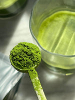 SAYURI Matcha Measuring Spoon